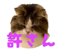 827335588