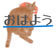 827337550