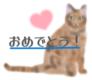 827337553