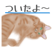 827337555