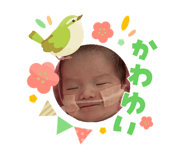827338834