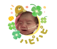 827338837