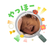 827338840