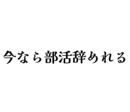 827353458