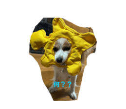 827365350