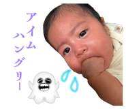 827397536