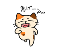 827397784
