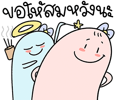 ลายที่ 17