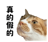 827409342