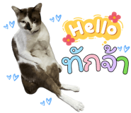 827418257