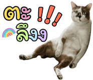 827418262