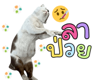 827418264
