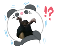 827433778