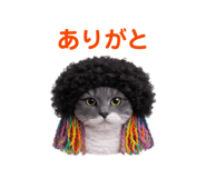 827436436