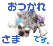 827443595
