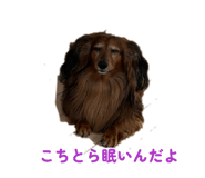 827456506