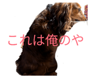 827456509
