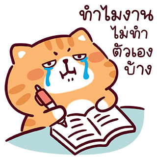 ลายที่ 8