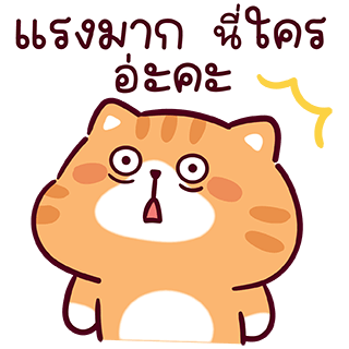 ลายที่ 23