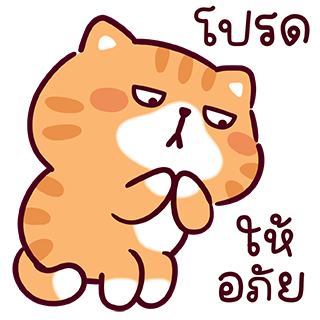 ลายที่ 29