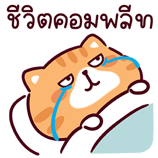 ลายที่ 39