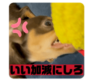 827464572