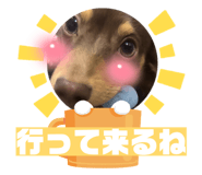 827464585