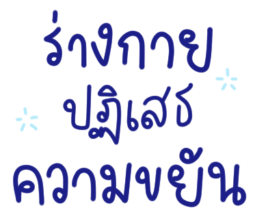 ลายที่ 5