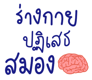 ลายที่ 6