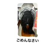 827466647
