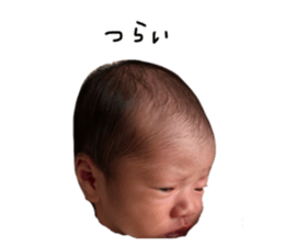 827500177