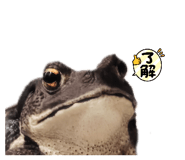 827517457