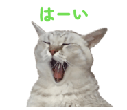 827517461