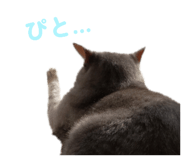 827517468