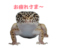 827517469