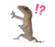 827517472