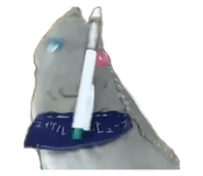 827521421