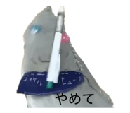 827521424