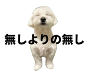827561165