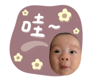 827577682