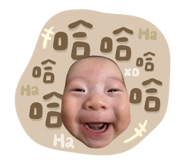 827577684