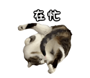 827580809