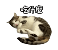 827580810