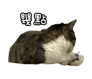 827580812
