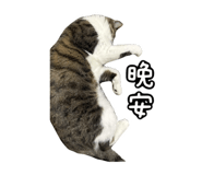 827580815