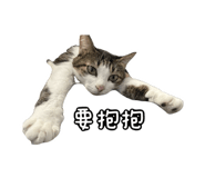 827580817