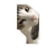 827580824