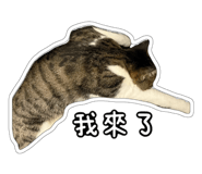 827580827