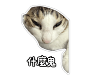 827580828