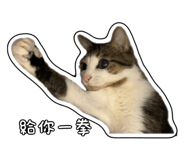 827580831